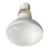 Replacement Bulb for Tansik Chicken Rotisserie & Popcorn Machine - Image 2